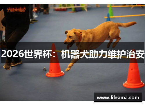 2026世界杯：机器犬助力维护治安